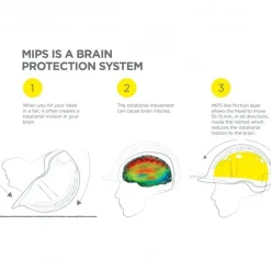 Charles Owen MS1 Pro with MIPS Jockey Skull