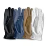 Mark Todd Super Riding Glove