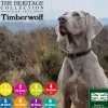 Ancol Timberwolf Leather Collar