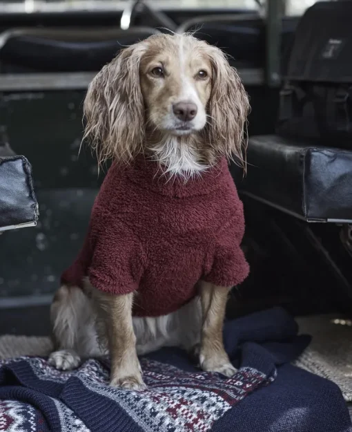 Barbour Teddy Fleece Dog Jumper