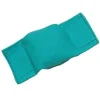 Bisley Beanbag Dog Puppy Dummy Green