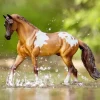 Breyer Red Dun Pintaloosa