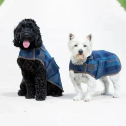 Digby & Fox Tweed Dog Coat