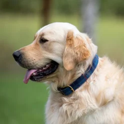 Digby & Fox Tweed Dog Collar