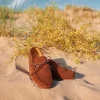 Dubarry Mens Shearwater Loafer