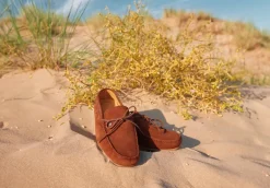 Dubarry Mens Shearwater Loafer