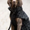 Eskadron Essence Dog Set - Lead and Collar