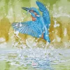 Greeting Card - Catch by Colin Blanchard