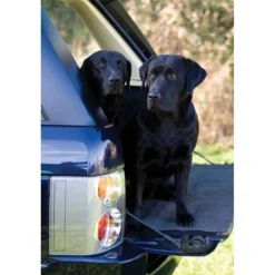 Greeting Card - Working Dogs by Charles Sainsbury-Plaice