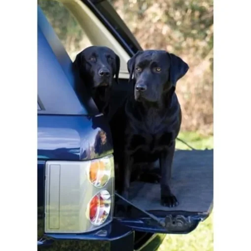 Greeting Card - Working Dogs by Charles Sainsbury-Plaice