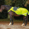 Horseware Amigo Reflective Competition Sheet
