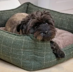 House of Paws Moss Tweed Rectangle Bed
