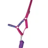 Hy Equestrian Thelwell Collection Race Head Collar and Lead Rope