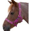 Hy Holly Fully Adjustable Head Collar