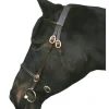 IV Horse In Hand Bridle