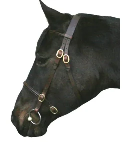 IV Horse In Hand Bridle