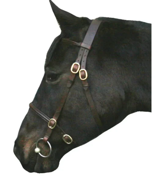 IV Horse In Hand Bridle