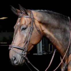 John Whitaker Ready to Ride Snaffle Bridle