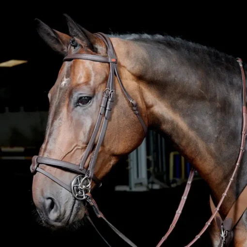 John Whitaker Ready to Ride Snaffle Bridle