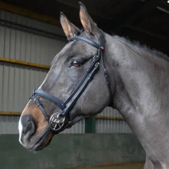John Whitaker Ready to Ride Snaffle Bridle