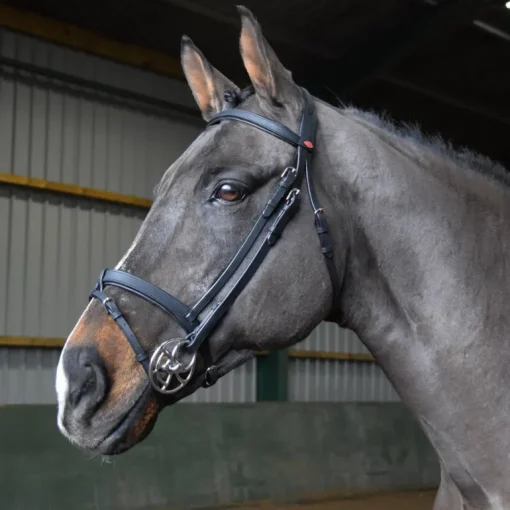 John Whitaker Ready to Ride Snaffle Bridle