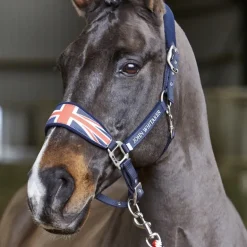 John Whitaker Union Jack Headcollar
