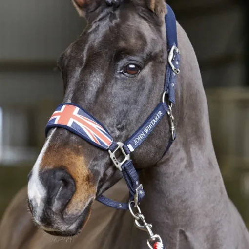 John Whitaker Union Jack Headcollar