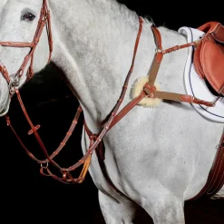 John Whitaker Valencia 5 Point Breastplate