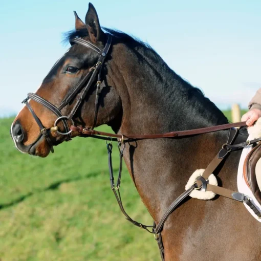 John Whitaker Valencia 5 Point Breastplate