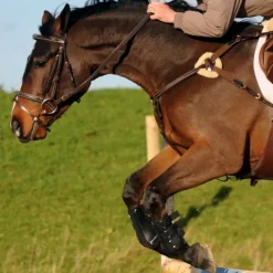 John Whitaker Valencia 5 Point Breastplate