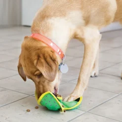 Kong Ballistic Hide & Treat