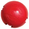 Kong Biscuit Ball