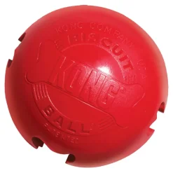 Kong Biscuit Ball