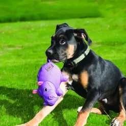 Kong Phatz Hippo Medium