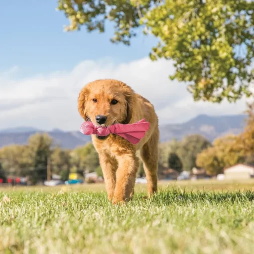 KONG Wubba Puppy