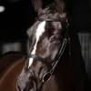 LeMieux Arika Cavesson Bridle
