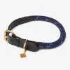 Lemieux Ascot Rope Dog Collar