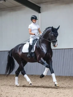 LeMieux Cotton Dressage Square