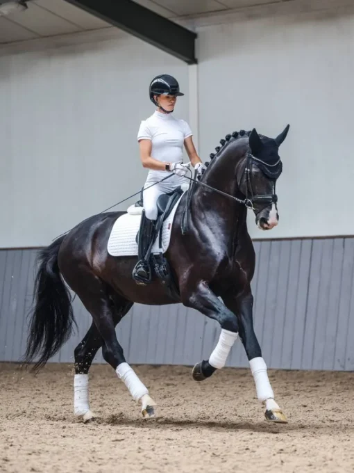 LeMieux Cotton Dressage Square