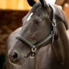 LeMieux Leather Crystal Headcollar