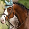 LeMieux Loire Fly Hood SS25
