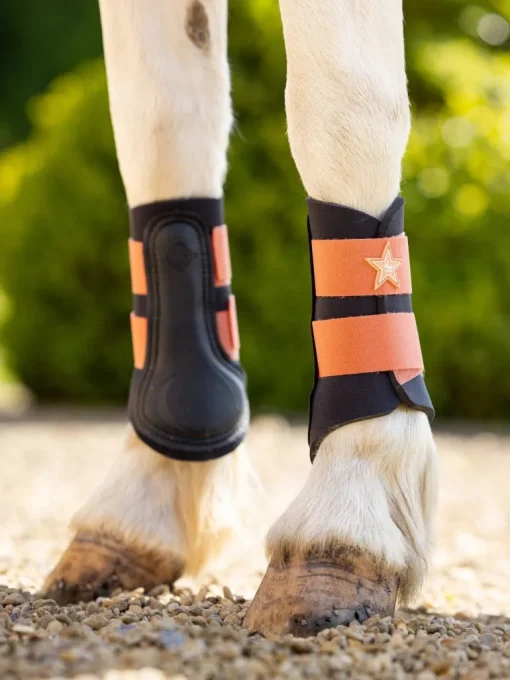 LeMieux Mini Grafter Brushing Boots SS24