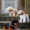 LeMieux Toy Puppy
