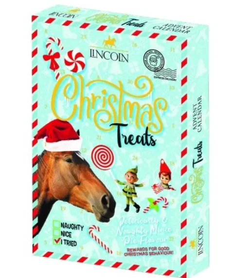Lincoln Naughty or Nice Advent Calendar