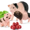 Miniature pig mother and piglets