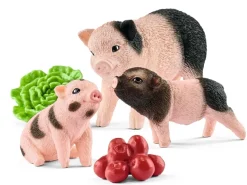 Miniature pig mother and piglets