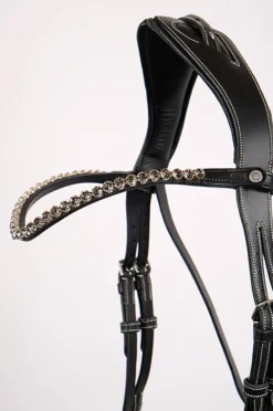Montar Curved Crystal Browband