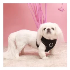 Pet London Trek Harness A