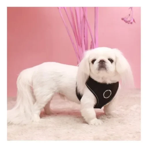 Pet London Trek Harness A