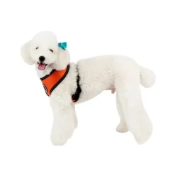 Pet London Trek Harness A
